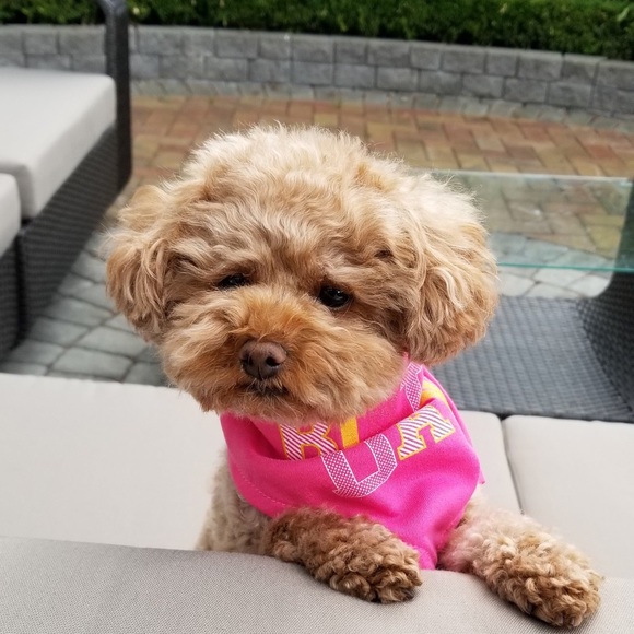 Meet your Posher, Marian - Picture 1 of 1